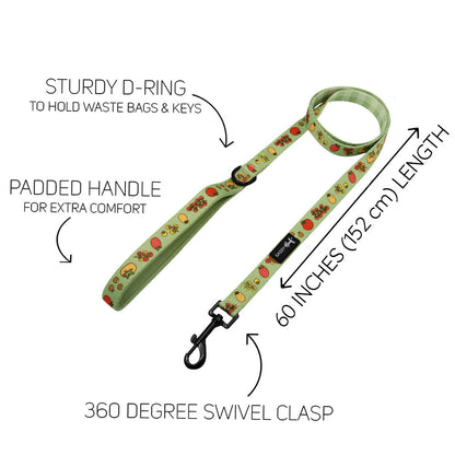 Dog Three Piece Bundle - Feeling Vine