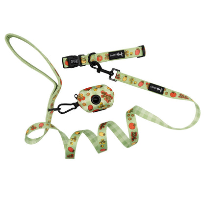 Dog Three Piece Bundle - Feeling Vine