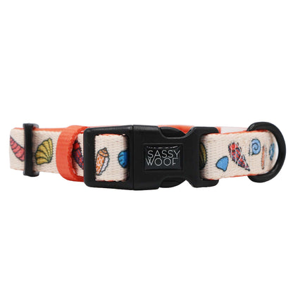 Dog Four Piece Bundle - Shell Yeah