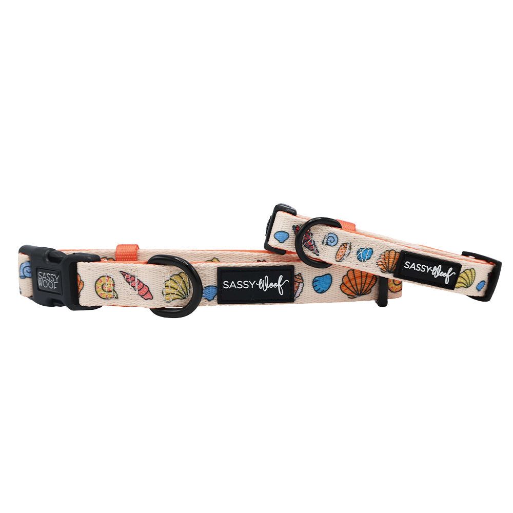 Dog Collar - Shell Yeah