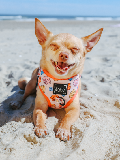 Dog Two Piece Bundle - Shell Yeah