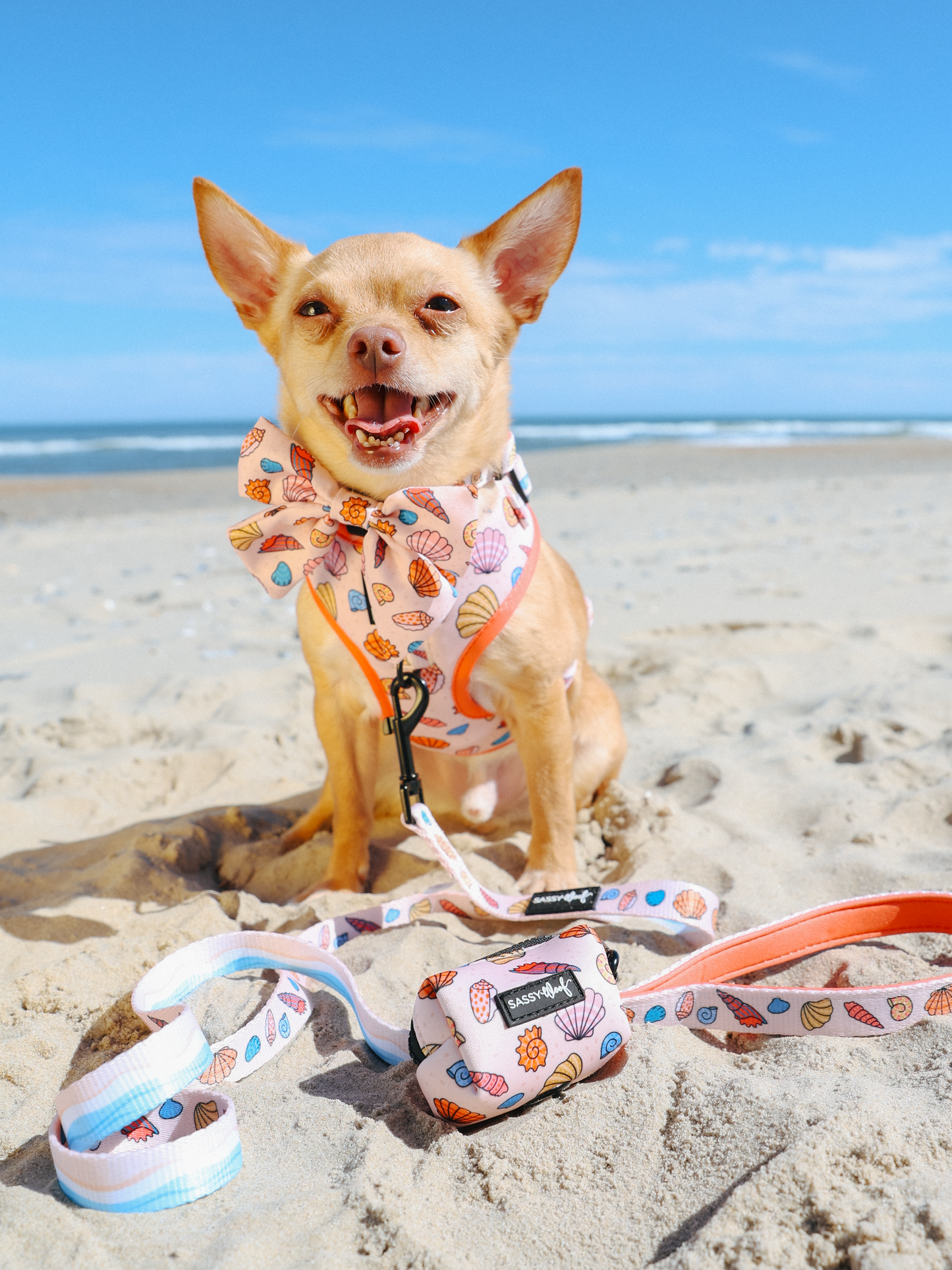 Dog Four Piece Bundle - Shell Yeah