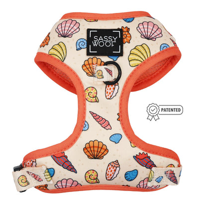 Dog Four Piece Bundle - Shell Yeah