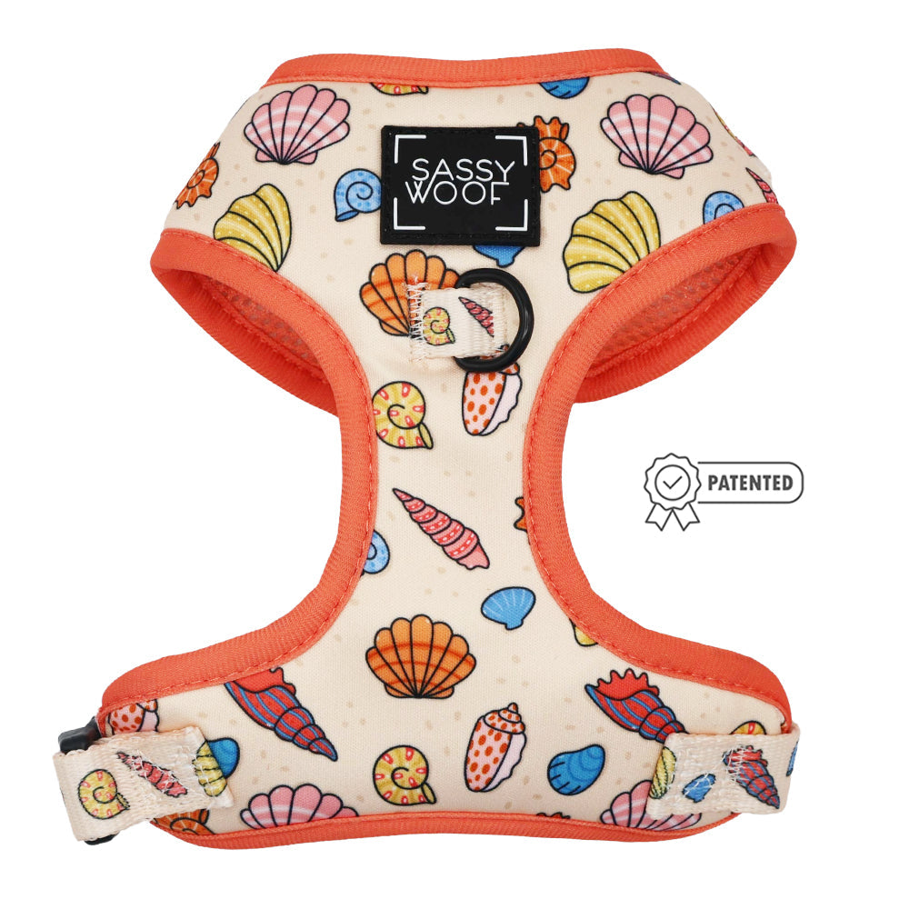 Dog Two Piece Bundle - Shell Yeah