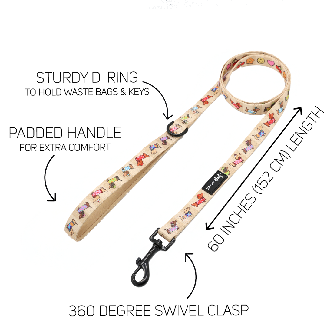 Dog Leash - Sunbean