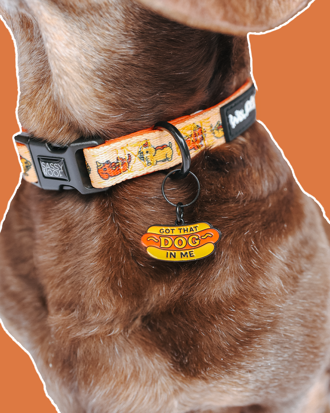 Collar Tag - Hot Dawg
