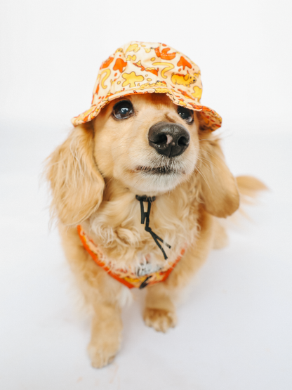Dog Bucket Hat - Hot Dawg
