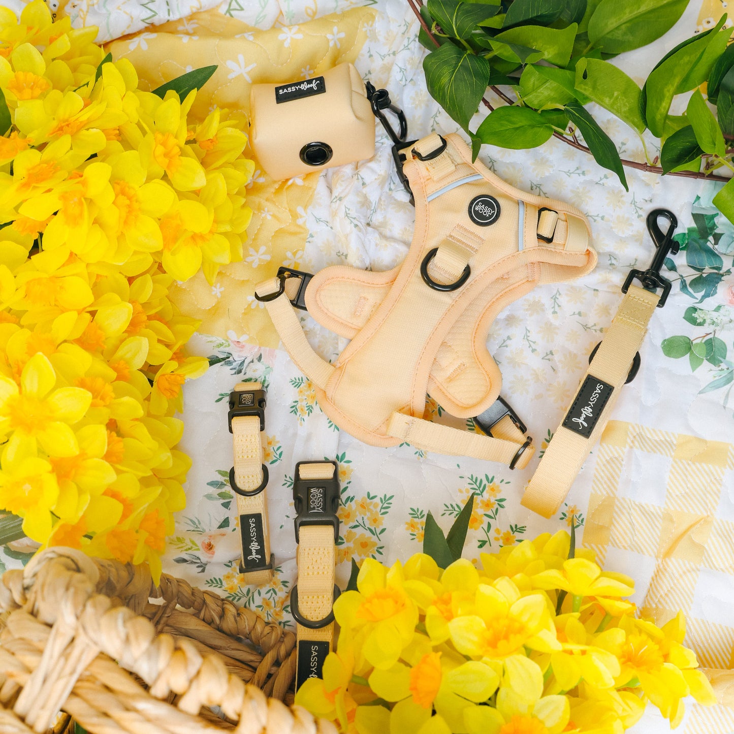 Dog Four Piece Bundle - Daffodil