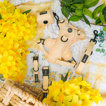 Dog Four Piece Bundle - Daffodil