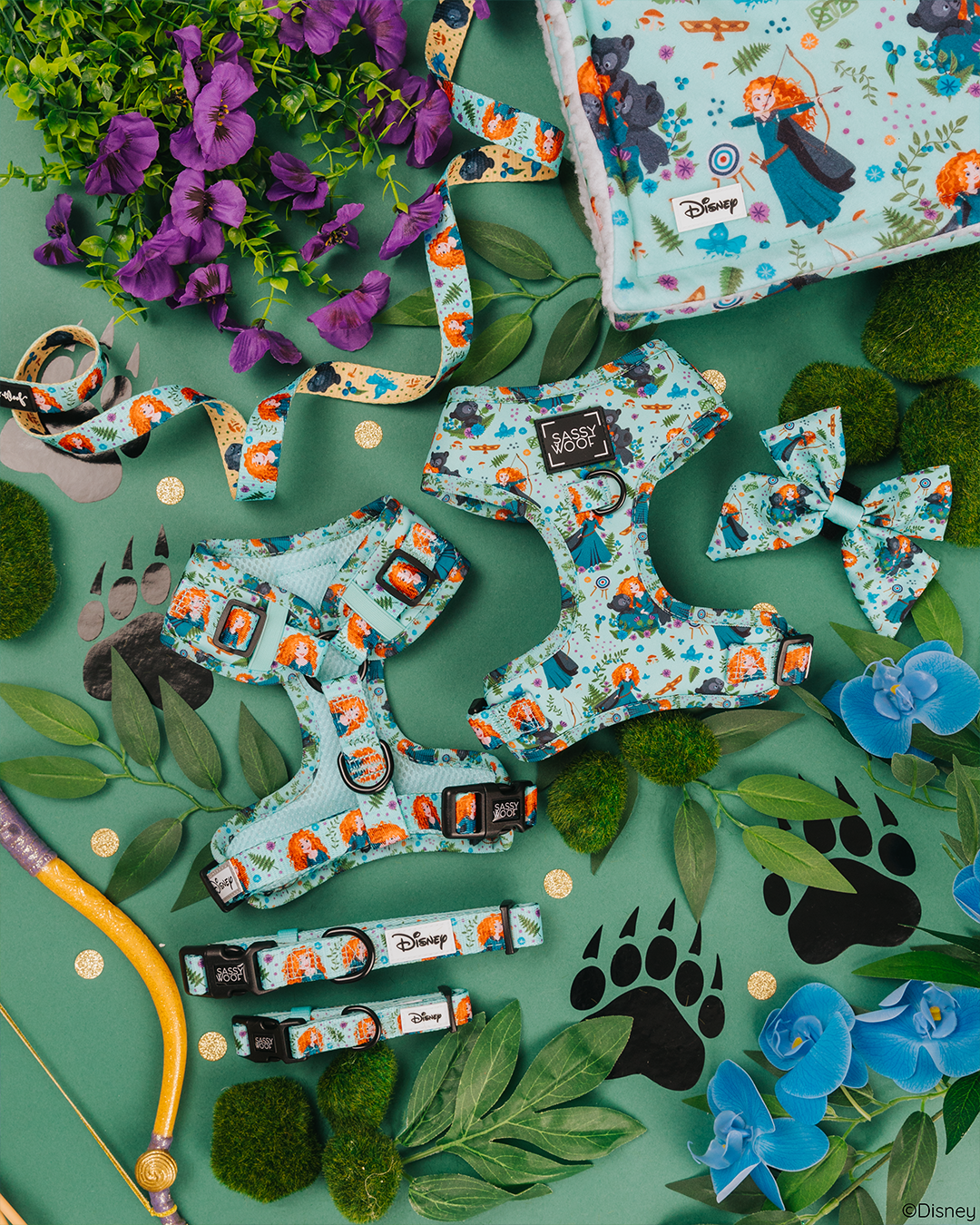 Harness Three Piece Bundle - Disney's Merida