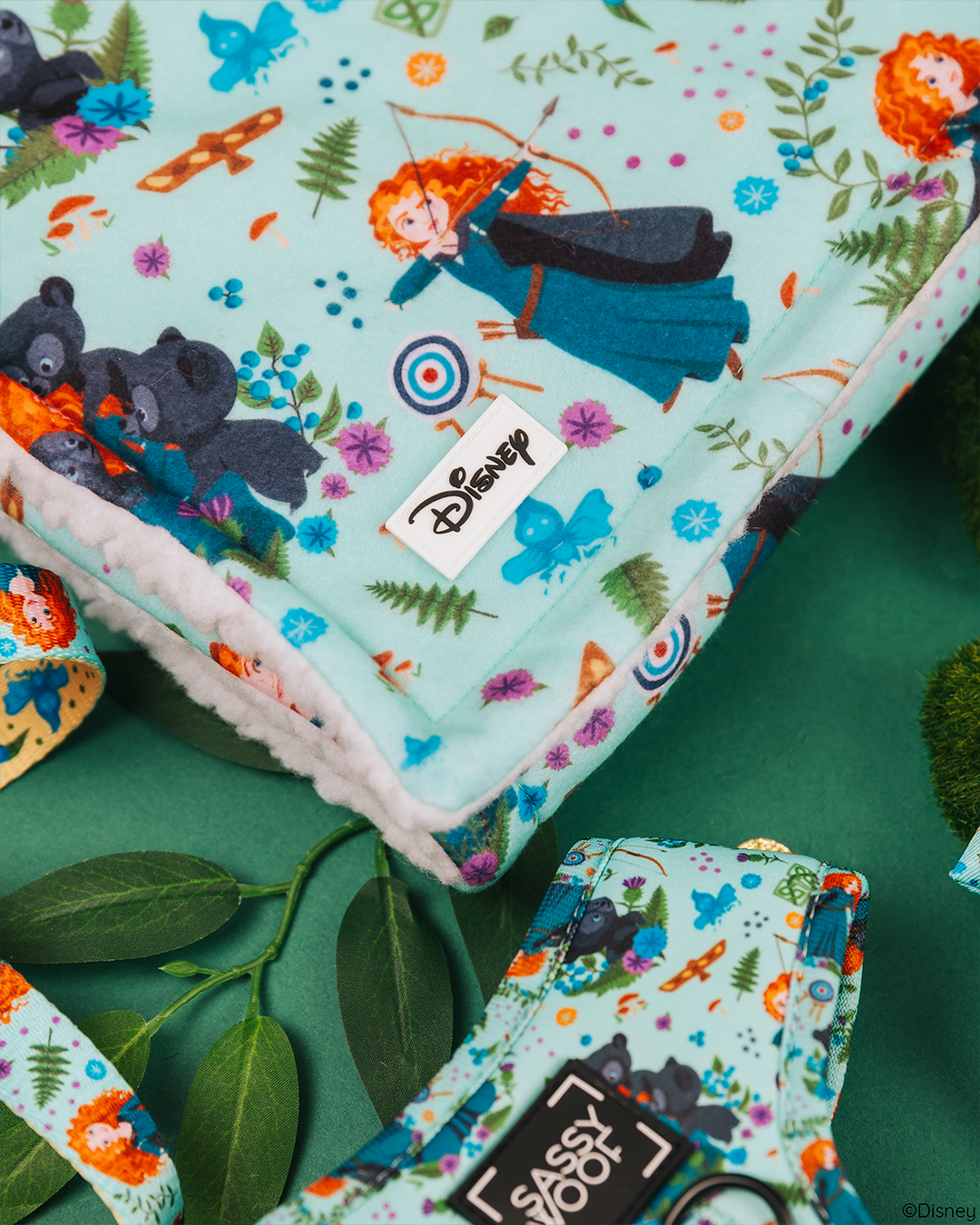 Pet Blanket - Disney's Merida