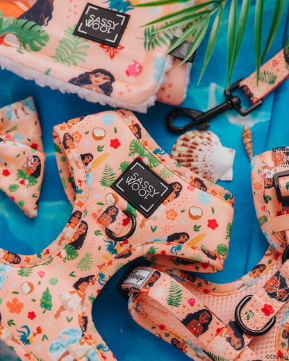 Dog Two Piece Bundle - Disney's Moana