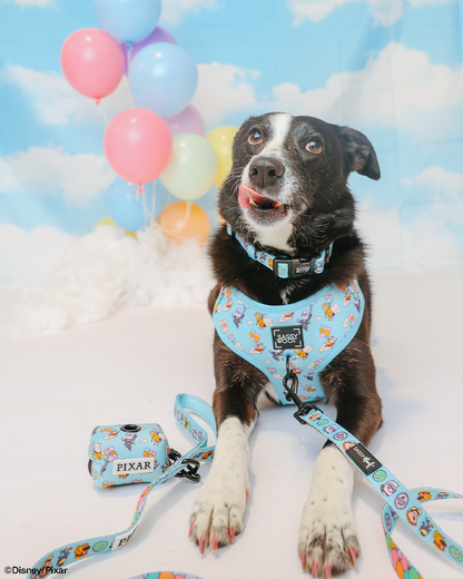 Dog Waste Bag Holder - Disney and Pixar's Up