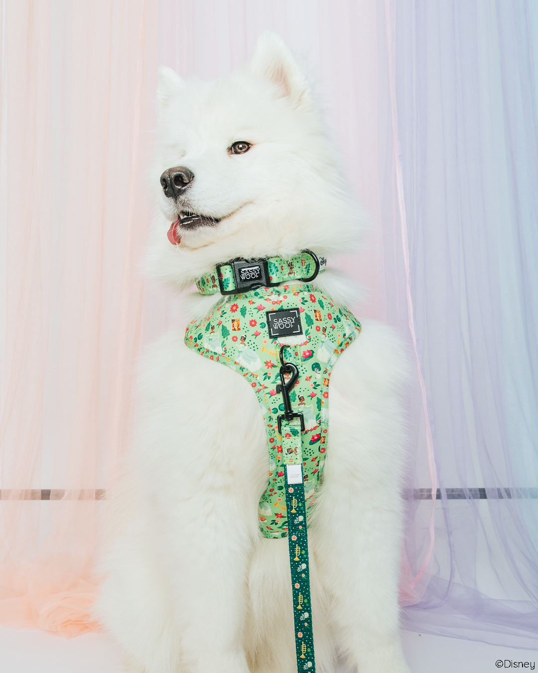 Harness Three Piece Bundle - Disney's Tiana