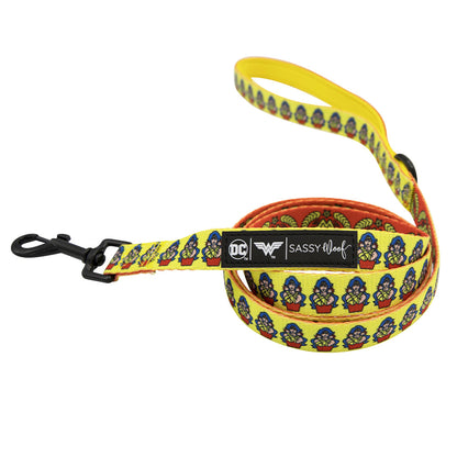 Dog Collar Three Piece Bundle - Wonder Woman™