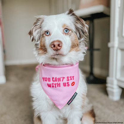 Dog Bandana - Mean Girls™ You Can't Sit With Us