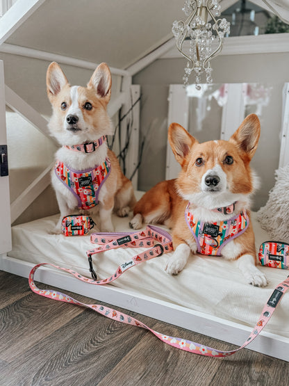 Dog Three Piece Bundle - Disney's Bambi