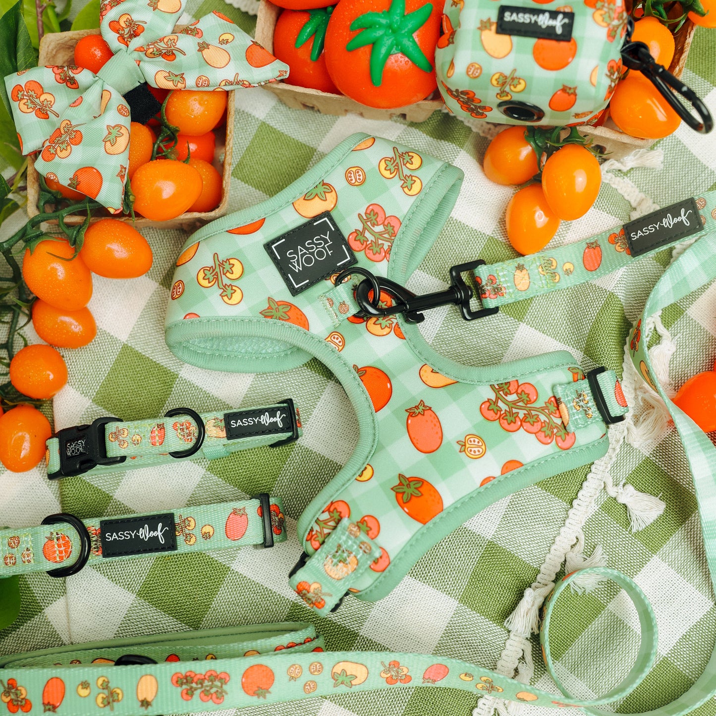 Dog Four Piece Bundle - Feeling Vine