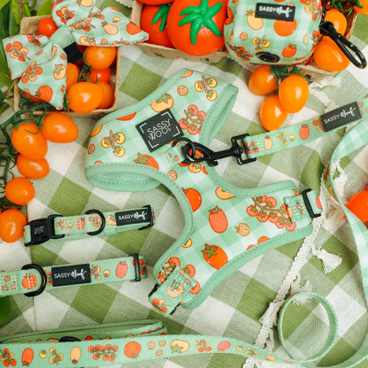 Dog Four Piece Bundle - Feeling Vine