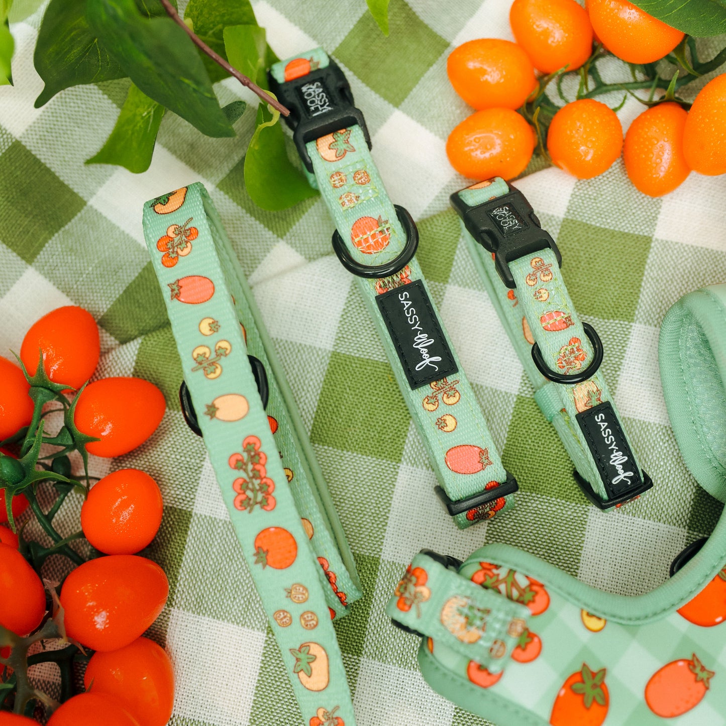 Dog Three Piece Bundle - Feeling Vine