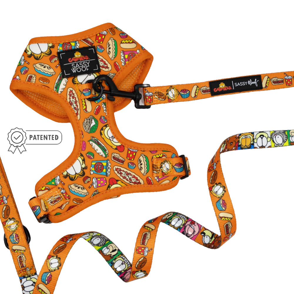 Dog Two Piece Bundle -  Garfield™