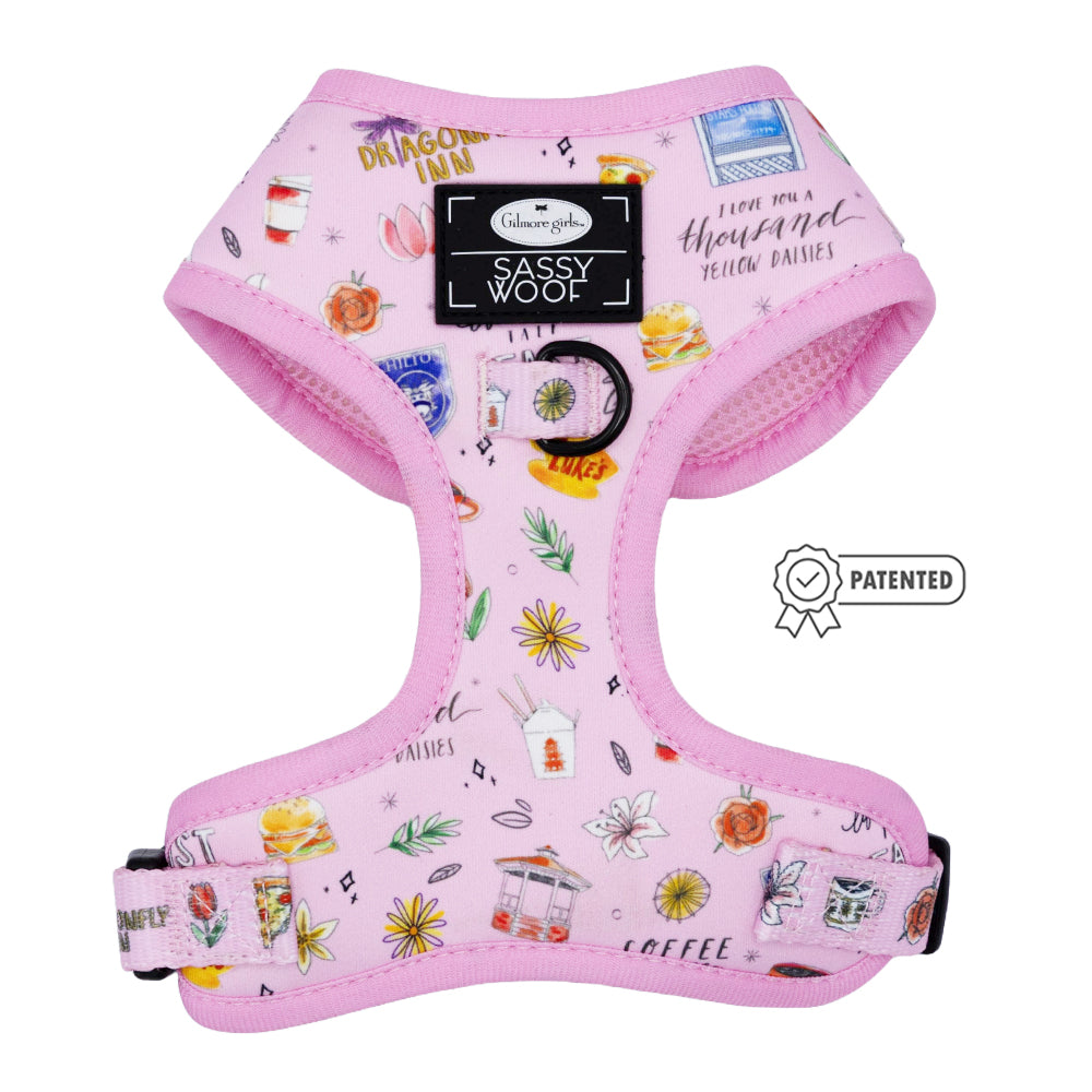 Dog Four Piece Bundle - Gilmore Girls™