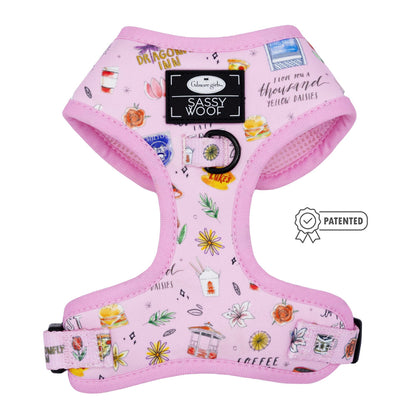 Dog Four Piece Bundle - Gilmore Girls™