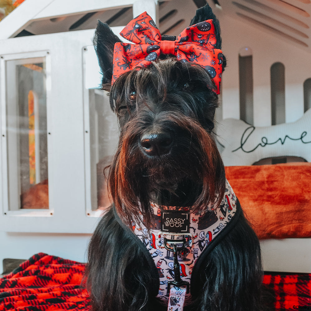 Dog Sailor Bow - The Nightmare Before Christmas™ (Red)
