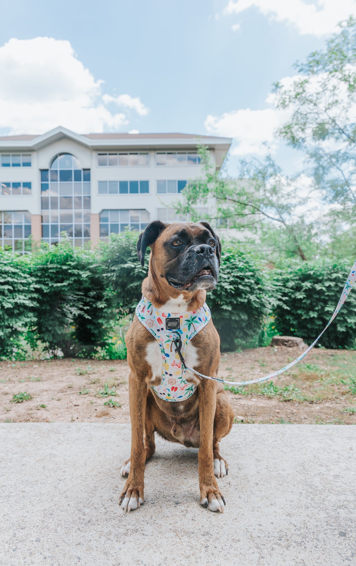 Dog Two Piece Bundle - Beach Please