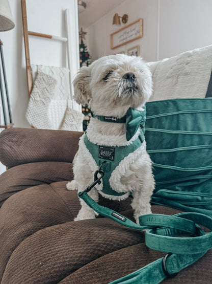 Dog Adjustable Harness - Nice