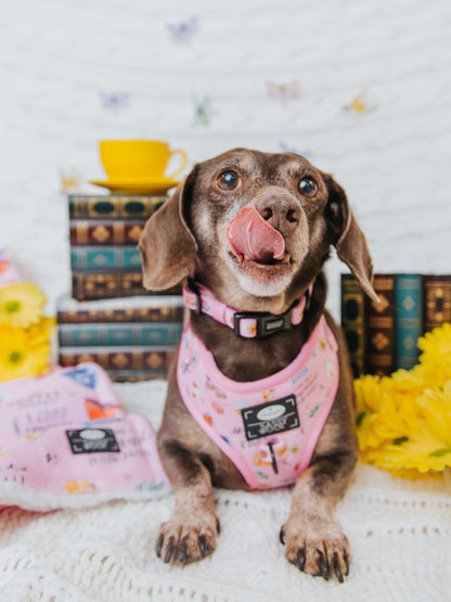Dog Four Piece Bundle - Gilmore Girls™