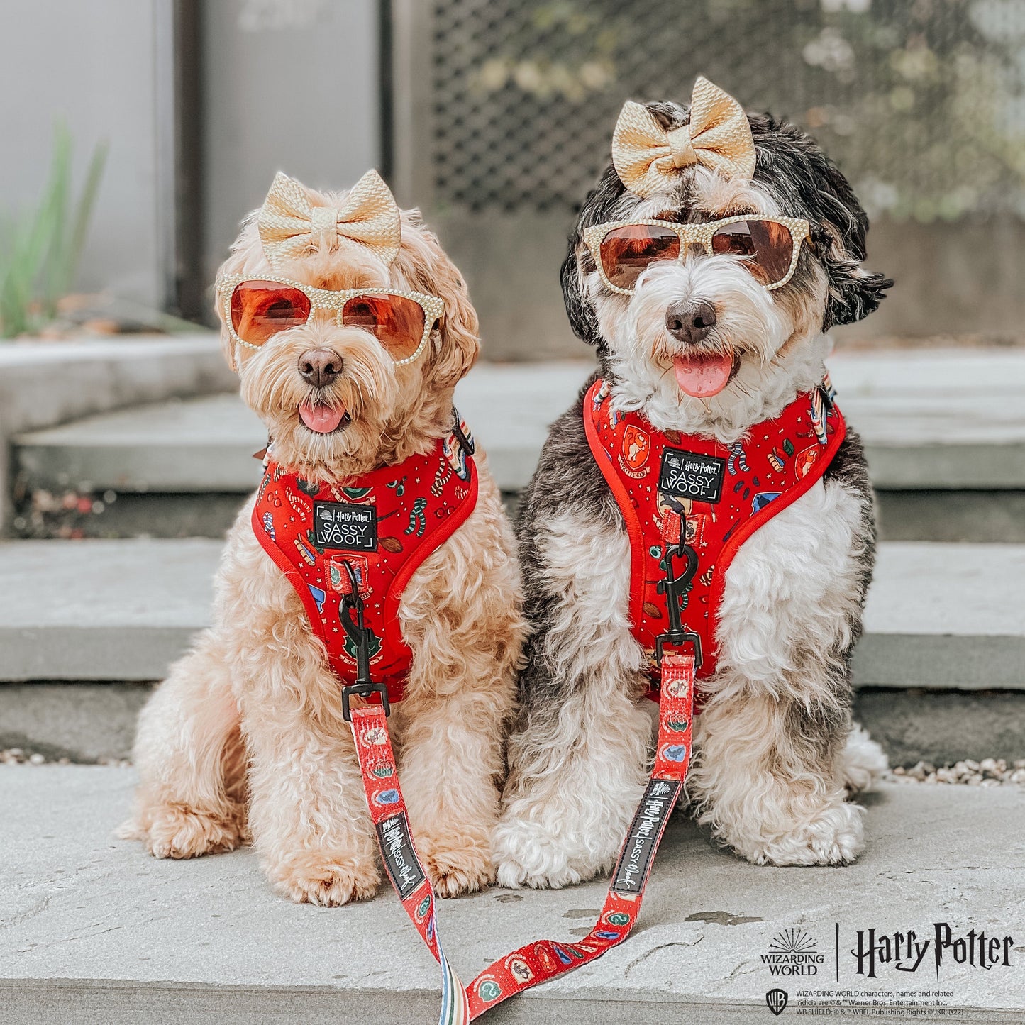 Harness Three Piece Bundle -  Harry Potter™