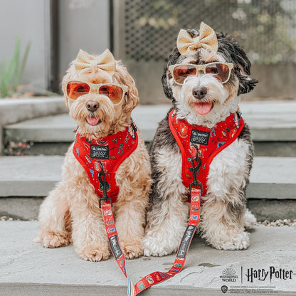 Harness Three Piece Bundle -  Harry Potter™