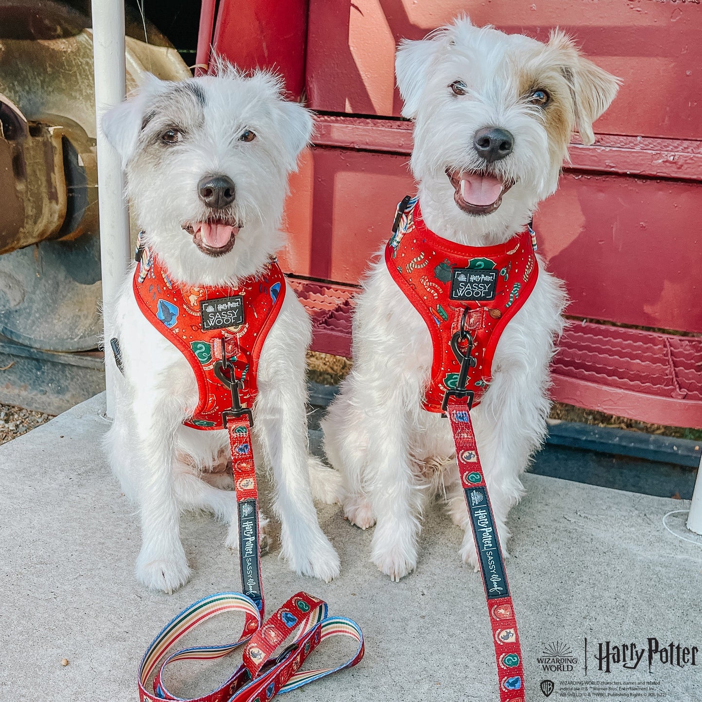 Harness Three Piece Bundle -  Harry Potter™