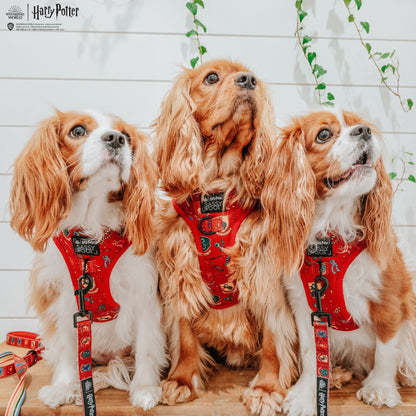 Dog Adjustable Harness - Harry Potter™