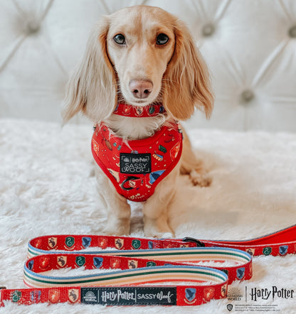Harness Three Piece Bundle -  Harry Potter™