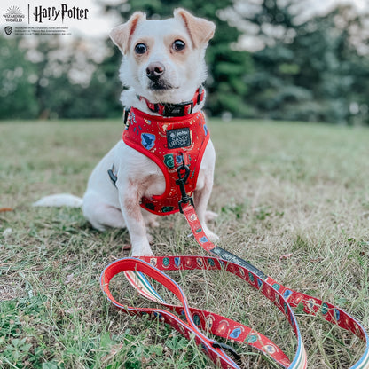 Harness Three Piece Bundle -  Harry Potter™