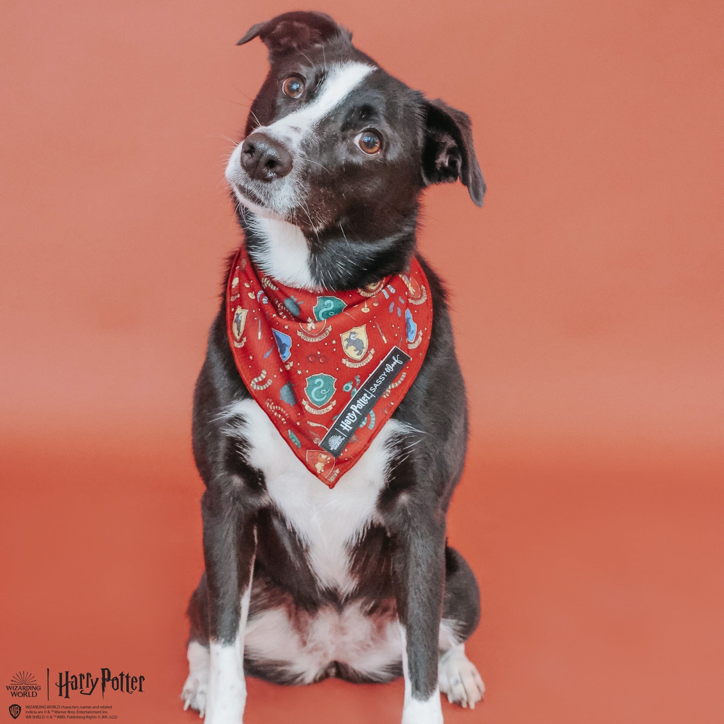 Dog Bandana - Harry Potter™