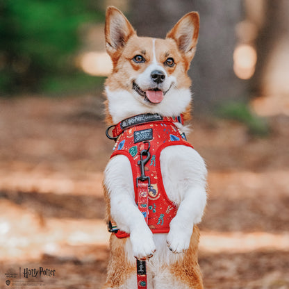 Harness Three Piece Bundle -  Harry Potter™