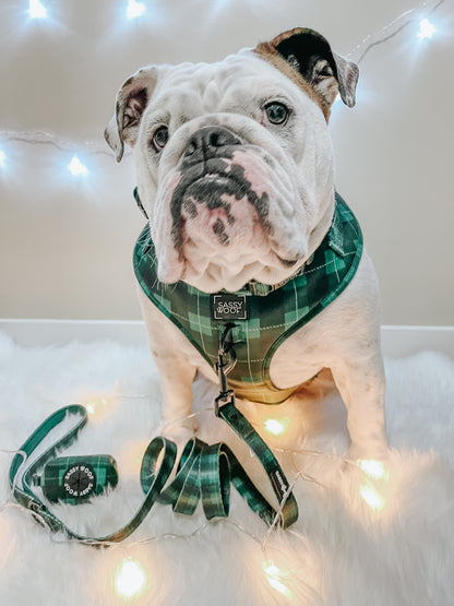 Dog Leash - Barks of Holly