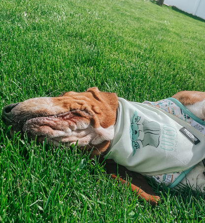 Dog Bandana - STAR WARS™ The Child™