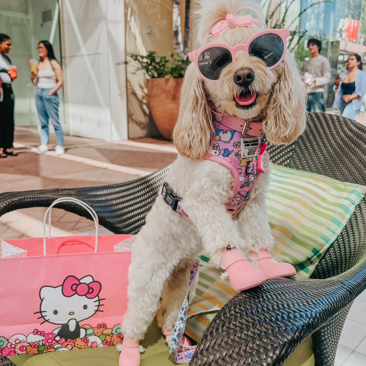 Dog Adjustable Harness - Hello Kitty® & Friends Flower Festival