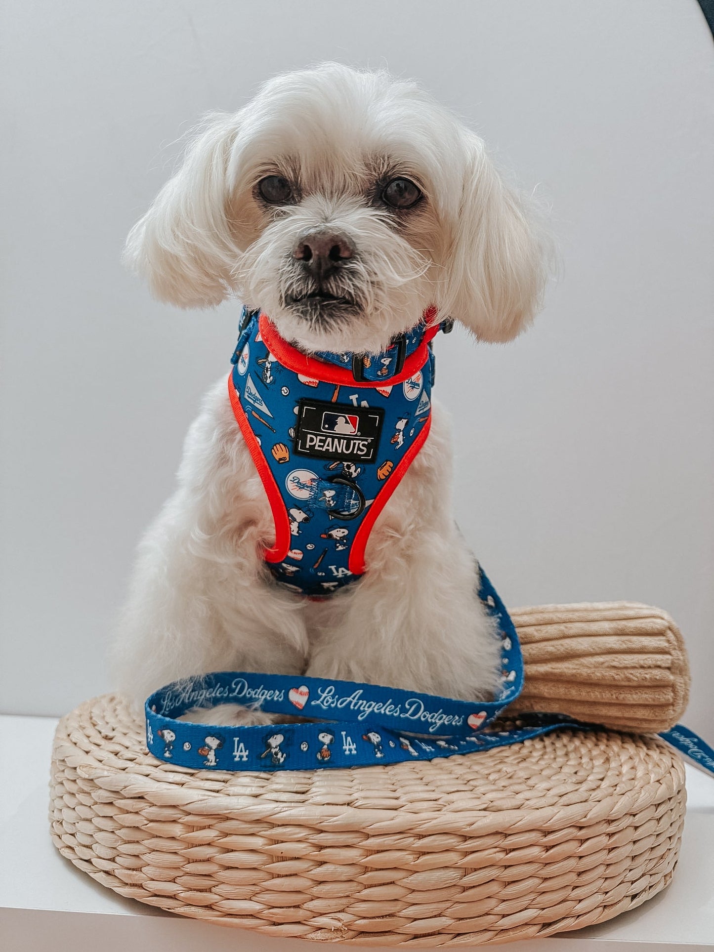 Dog Collar - MLB™ x Peanuts™ Los Angeles Dodgers™