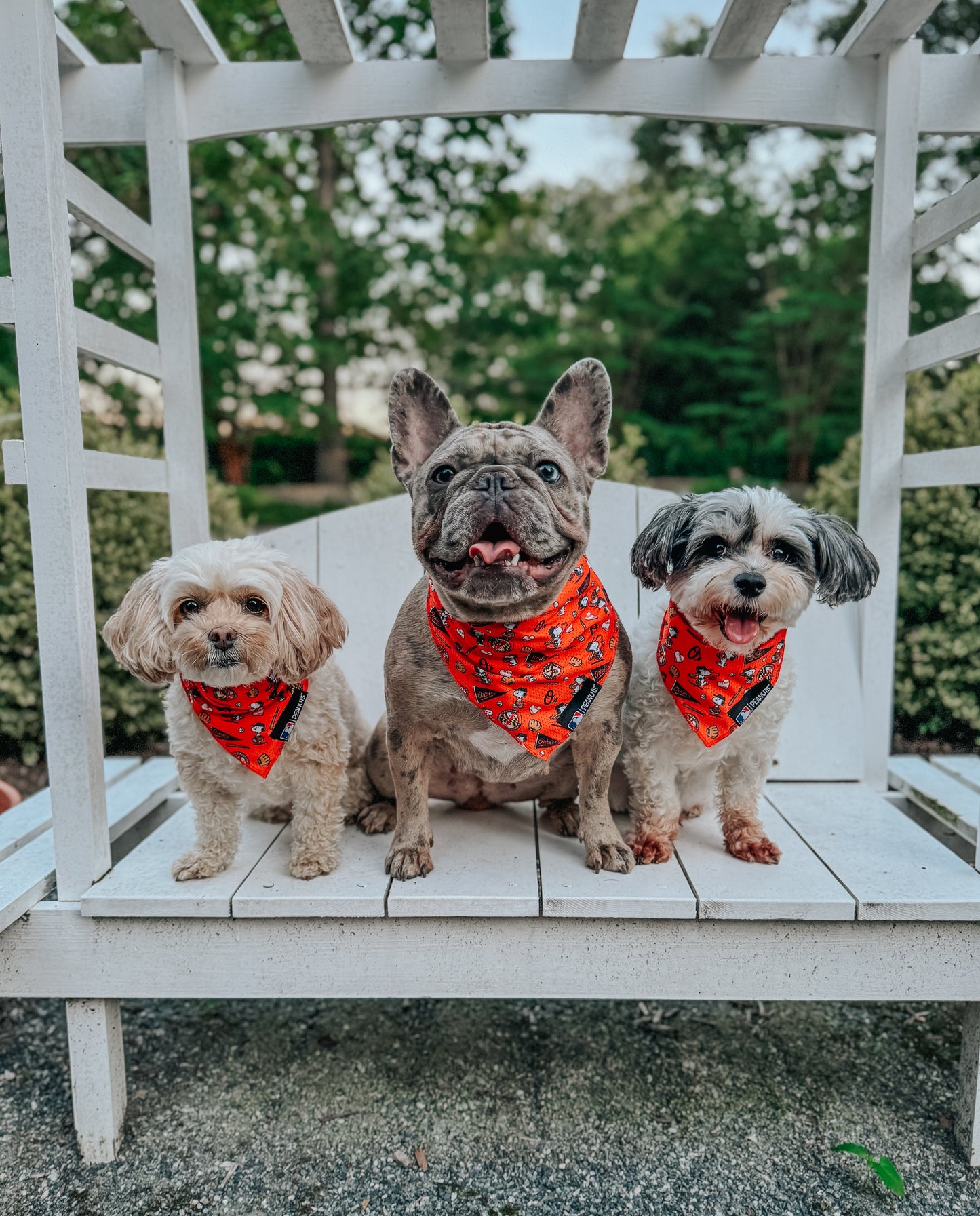 Dog Bandana - MLB™ x Peanuts™ Baltimore Orioles™
