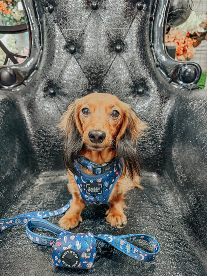 Dog Adjustable Harness - Spellbound