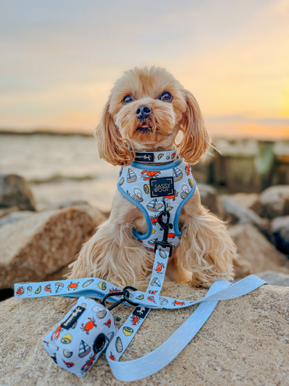 Dog Leash - Coastal Cuties