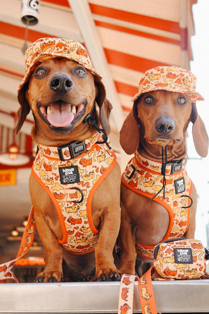 Dog Bucket Hat - Hot Dawg