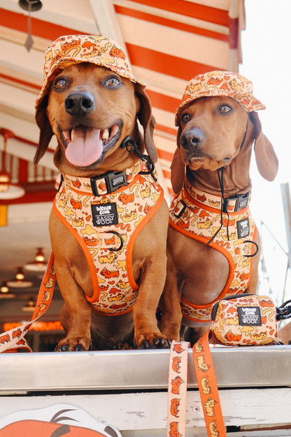 Dog Bucket Hat - Hot Dawg