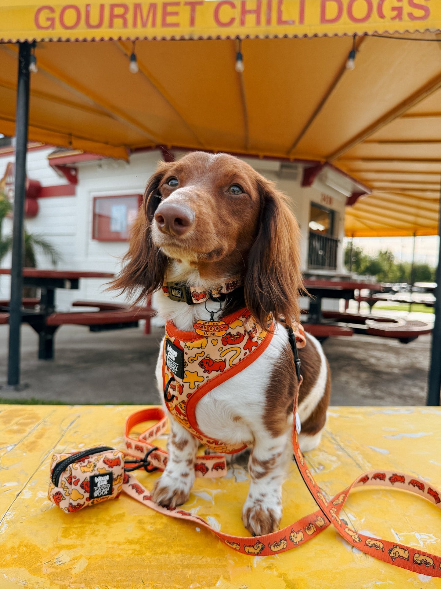 Dog Waste Bag Holder - Hot Dawg
