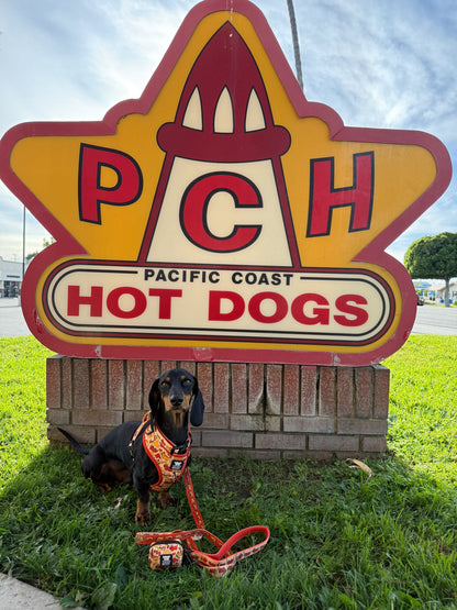 Dog Four Piece Bundle - Hot Dawg